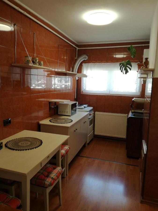 Sara Apartman Târgu-Mureş Extérieur photo